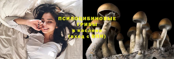 прущая мука Наволоки