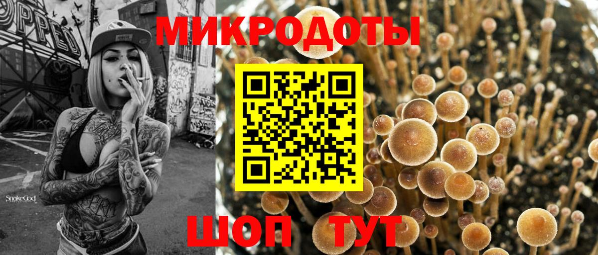 Галлюциногенные грибы Psilocybine cubensis Кизилюрт