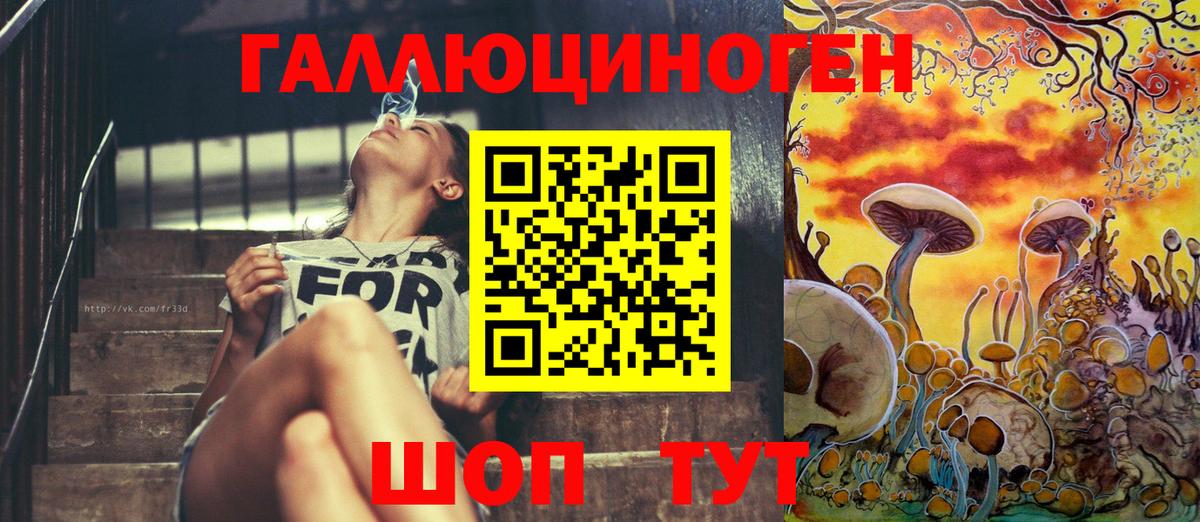 Псилоцибиновые грибы Cubensis Кизилюрт