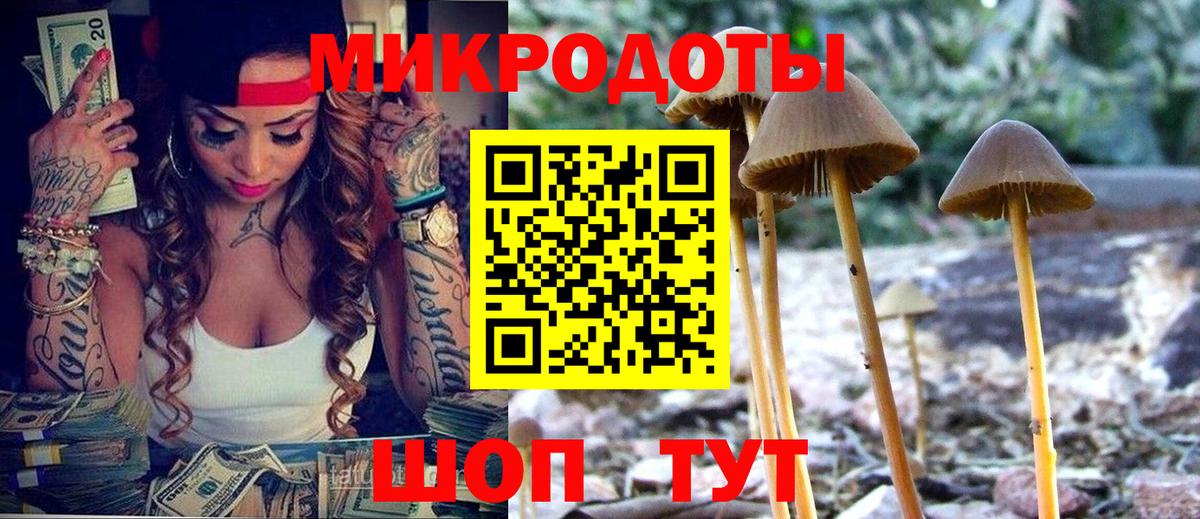 Кизилюрт  Галлюциногенные грибы прущие грибы  Вход с VPN 